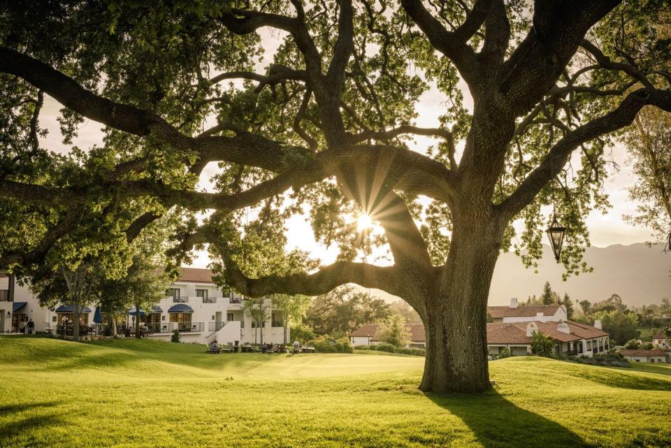 <p>Say what you will about Ojai's New Age-y <em>woo woo</em> tendencies but there's no denying its pull. Located in between Los Angeles and Santa Barbara in a valley in the Topatopa Mountains, its peaceful setting is ideal for wellness pursuits and getting in touch with your spiritual side. The <a href="https://www.ojaivalleyinn.com/" rel="nofollow noopener" target="_blank" data-ylk="slk:Ojai Valley Inn;elm:context_link;itc:0;sec:content-canvas" class="link ">Ojai Valley Inn</a> is the place to do just that. The luxury 220-acre property is surrounded by ancient oak and olive trees and lined with fragrant sage and lavender. There is an extensive list of activities that include beekeeping, vegan cooking, equine learning, candle-making, and terrarium-building. Don't fret, traditional resort activities—golf, tennis, pool—are also available. </p><p><a class="link " href="https://go.redirectingat.com?id=74968X1596630&url=https%3A%2F%2Fwww.tripadvisor.com%2FHotel_Review-g32817-d78793-Reviews-Ojai_Valley_Inn-Ojai_California.html&sref=https%3A%2F%2Fwww.townandcountrymag.com%2Fleisure%2Ftravel-guide%2Fg10370949%2Fbest-places-to-travel-in-september%2F" rel="nofollow noopener" target="_blank" data-ylk="slk:Read Reviews;elm:context_link;itc:0;sec:content-canvas">Read Reviews</a> <em>Ojai Valley Inn</em></p>