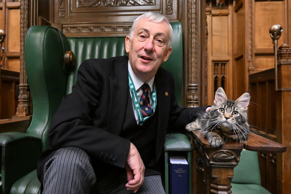 Sir Lindsay Hoyle is a lover of cats and other animals (UK Parliament/Jessica Taylor/PA) (PA Media)