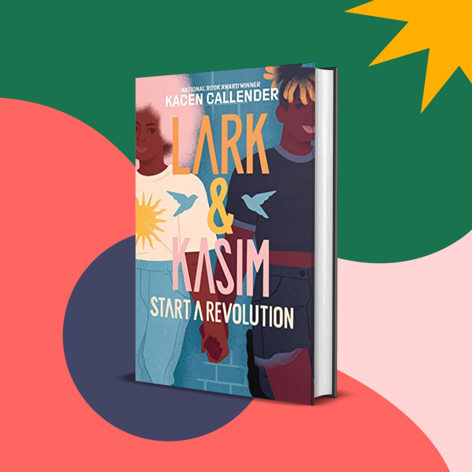 Lark and Kasim Start a Revolution book cover