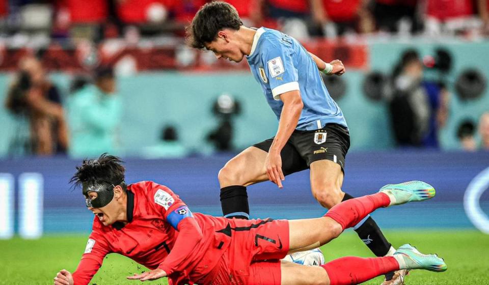 Mundial de Qatar 2022: Urugay enfrenta a Corea del Sur. Foto: tomada del Facebook de AUF - Selección Uruguaya de Fútbol