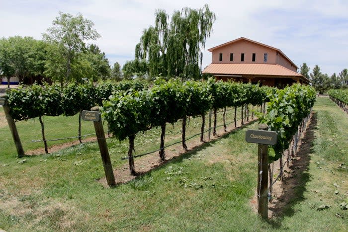 Zin Valley Vineyards in El Paso, Texas