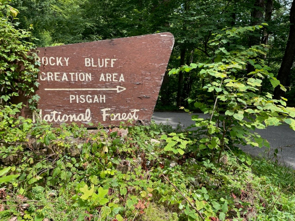 Rocky Bluff Campground in Hot Springs is maintained by the United States Forest Service.