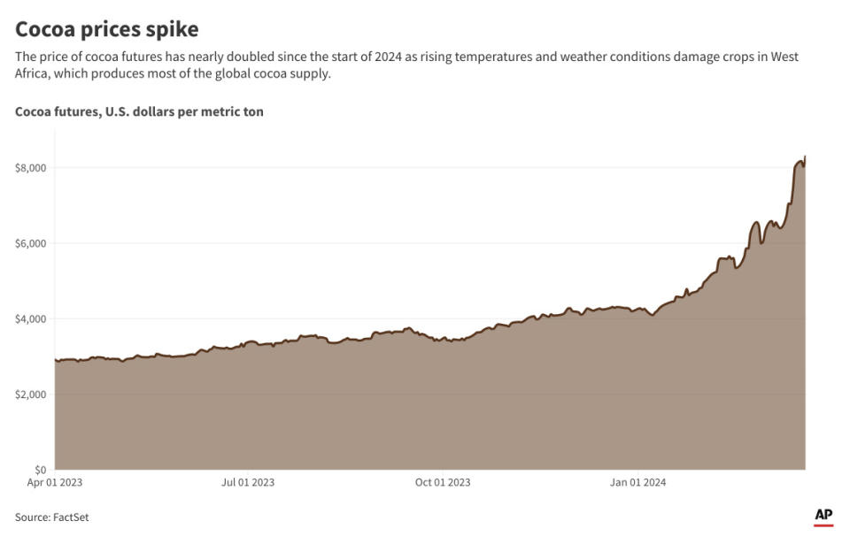 The price of cocoa, the main ingredient in chocolate, has risen sharply in 2024. (AP Digital Embed)