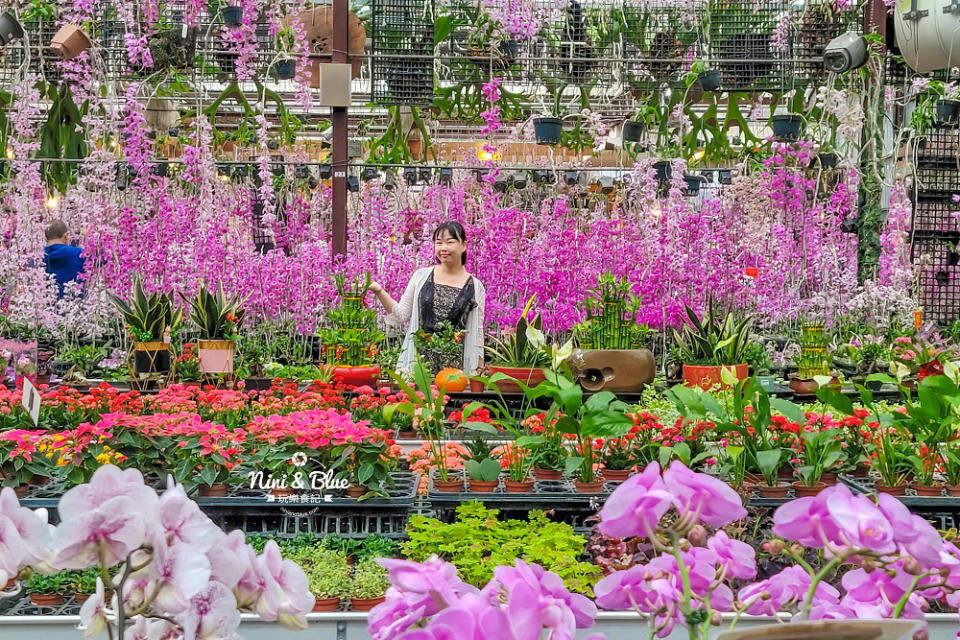 台中后里｜萌芳花卉農場