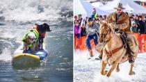 From reindeer running to dog surfing: craziest sports in the USA