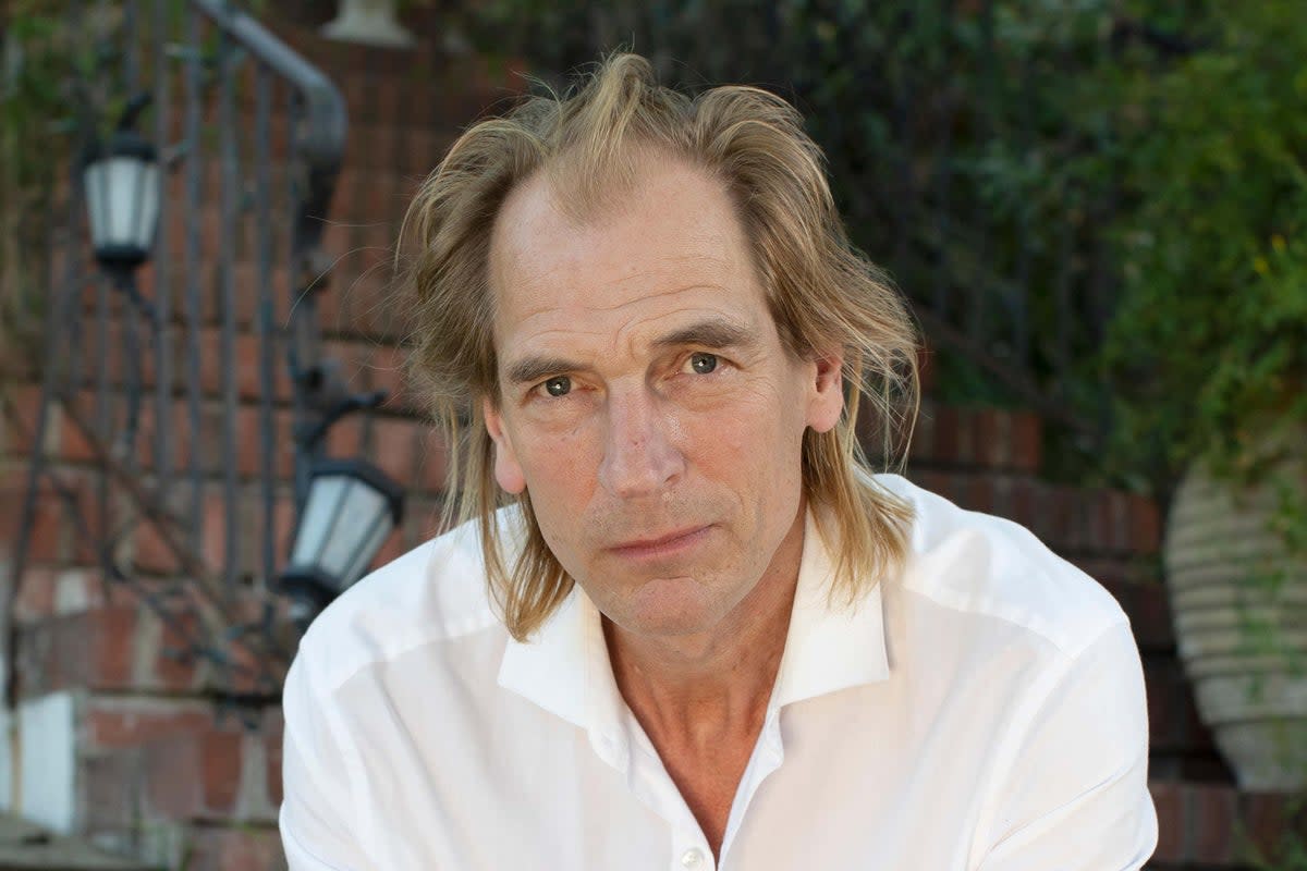 Julian Sands was reported missing while hiking in southern California (Dan Tuffs/Alamy Stock Photo)