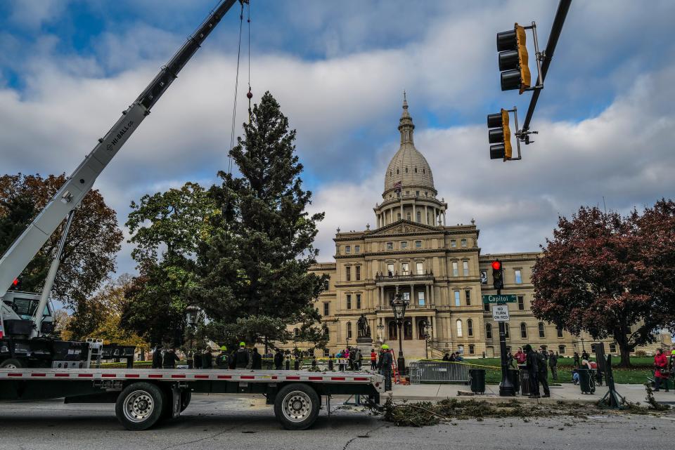 The state Christmas tree stands on its own while being secured by Capitol grounds workers Saturday, Oct. 28, 2023.