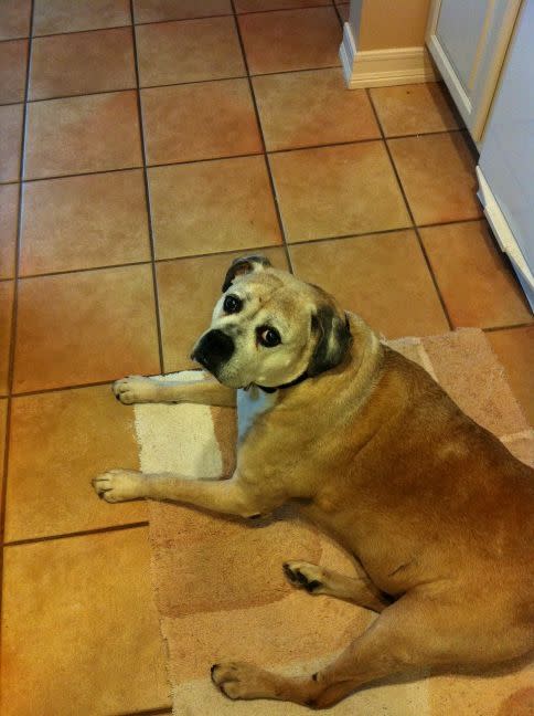 "The best sous chef in town...plus he can do dishes, hahaha," tweeted beach volleyball athlete Misty May-Treanor.