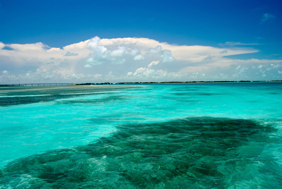 Photo of the clear blue water surrounding Islamorada