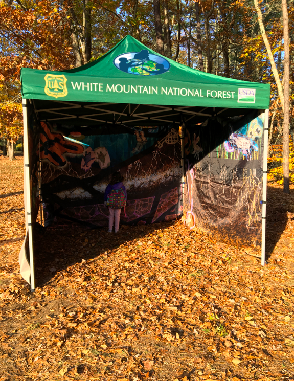 The Soil Tent is a traveling STEAM educational exhibit that combines hands-on GLOBE science activities centered around the pedosphere and a 10x10 pop-up tent with murals.