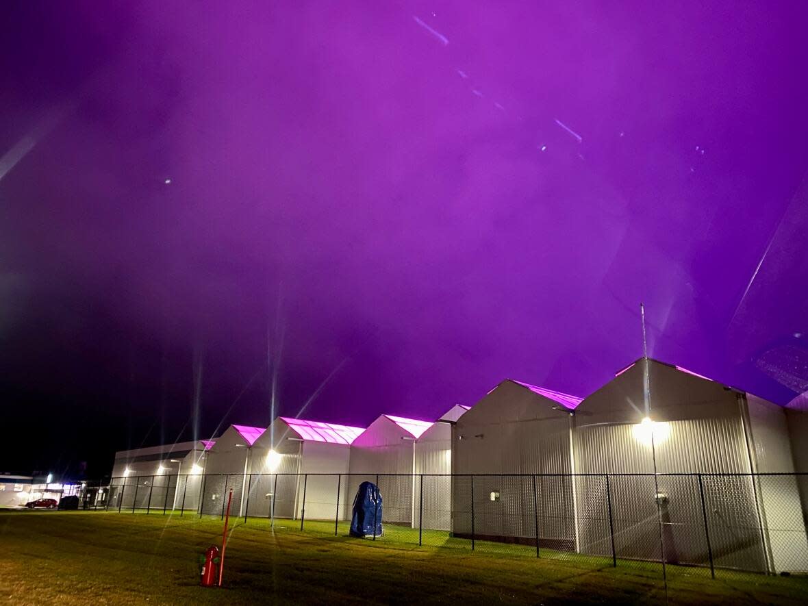 The sky turns purple over a FIGR cannabis greenhouse in Charlottetown. It happens when there are light particles in the air above the greenhouse. (Jane Robertson/CBC News - image credit)