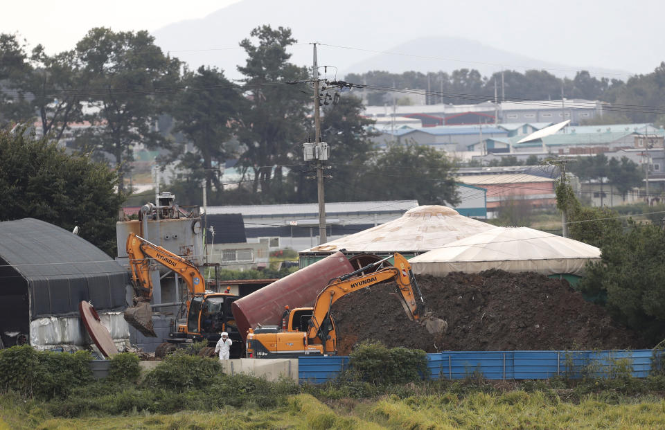 FILE - In this Sept. 17, 2019, file photo, backhoes prepare to dig a pit to bury culled pigs at a farm in Paju, South Korea. South Korea on Tuesday, Oct. 15, is deploying snipers, installing traps and flying drones along the rivals' tense border to kill wild boars that some experts say may have spread the animal disease from north to south. (AP Photo/Ahn Young-joon, File)