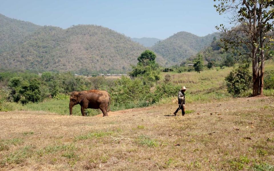 An elephant sanctuary outside of Chiang Mai. | Stan Nalewski