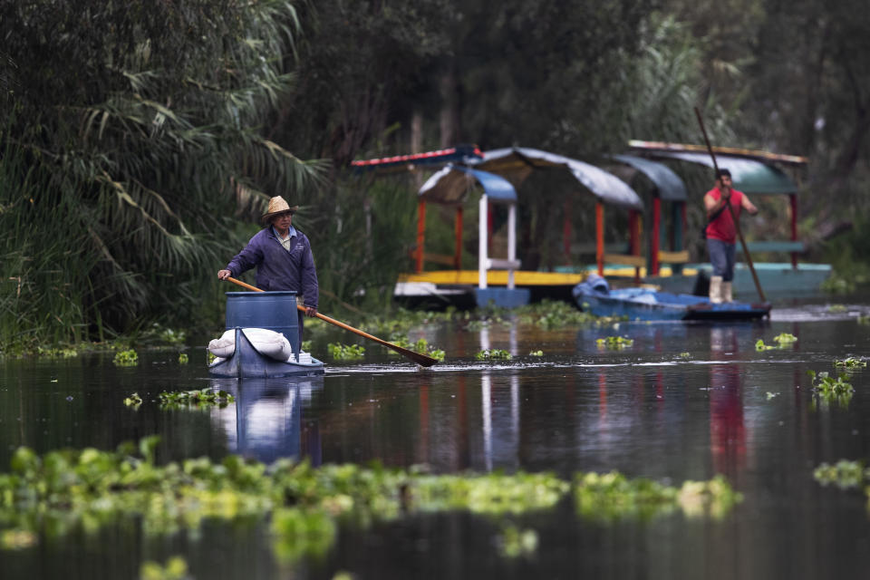 Un agricultor utiliza un palo para mover su canoa por su granja flotante, conocida como "chinampa", en Xochimilco, en la Ciudad de México, el 12 de agosto de 2021, mientras la capital mexicana se prepara para conmemorar el 500 aniversario de la caída de la capital azteca, Tenochtitlan. Los canales y jardines flotantes de Xochimilco son los últimos remanentes de un vasto sistema de transporte de agua construido por los aztecas para abastecer su capital. (AP Foto/Marco Ugarte)