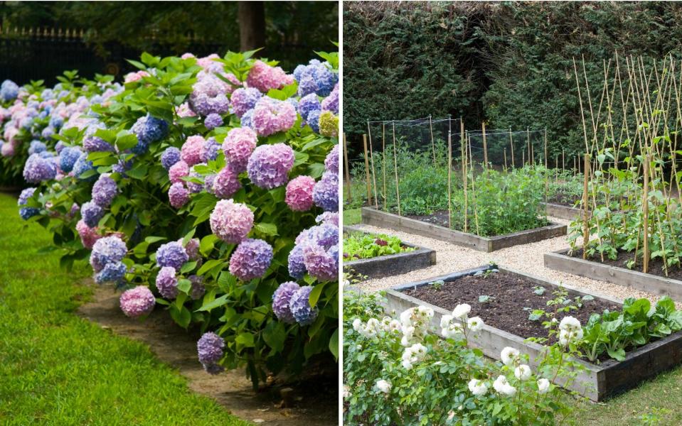 Traditional vs no-dig gardens