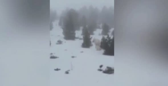 Have skiers caught the yeti on camera in Spain?