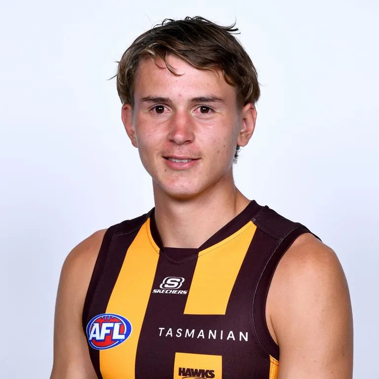 AFL 2024 Media - Hawthorn Team Photo Day