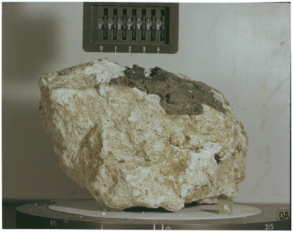 a gray rock in a glass case