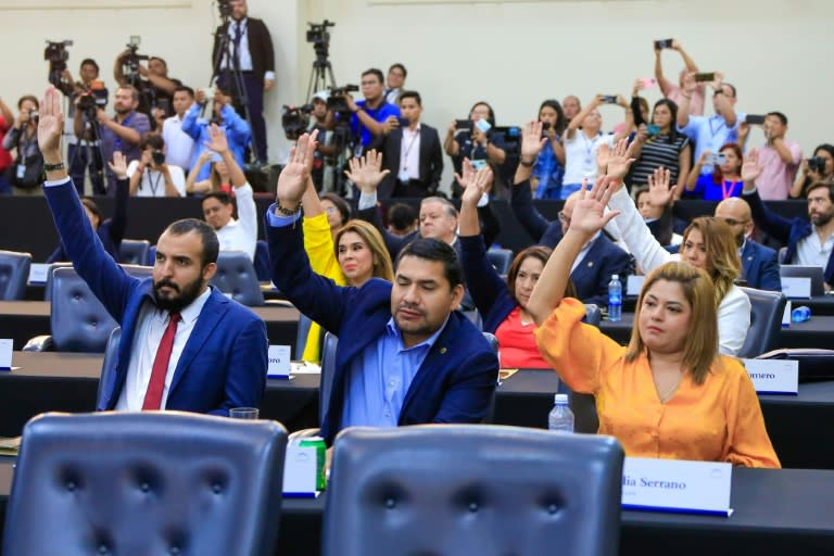 Diputados salvadoreños votan durante una sesión el 29 de abril de 2024 (Handout)