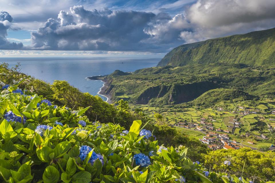 a landscape with hills and flowers