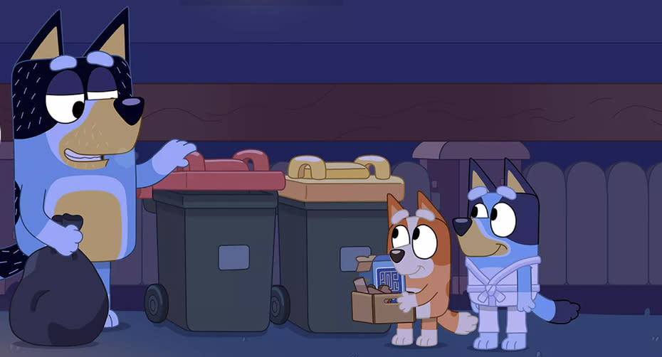 The Bluey bin episode