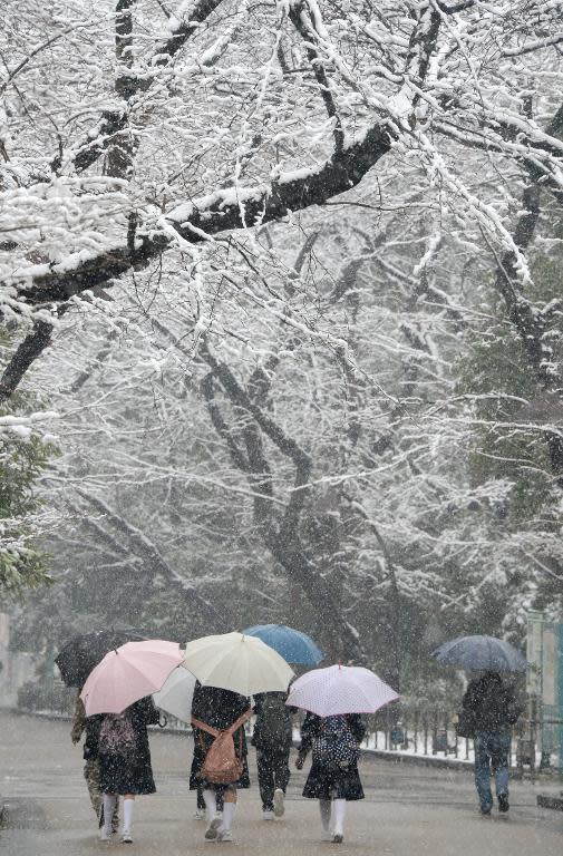 Students walk under snow-covered trees at a park in Tokyo, on February 14, 2014