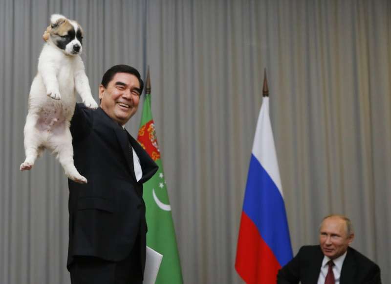 2017年10月，土庫曼總統別爾德穆哈梅多夫（左，Gurbanguly Berdymukhamedov）贈送一隻中亞牧羊犬給俄羅斯總統普京，作為生日禮物。（資料照，AP）