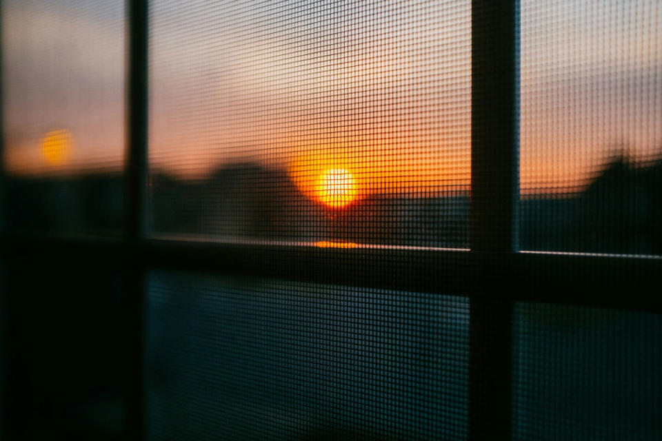 Remove dust and dirt from your window screens twice a year.<p>Photo by Darrin Henein on Unsplash</p>