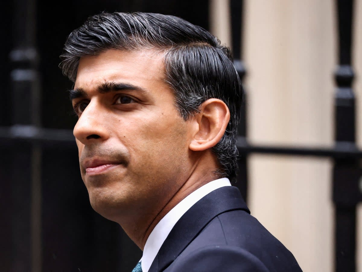 Rishi Sunak launched £1.4bn Brexit opportunities fund as chancellor  (REUTERS)