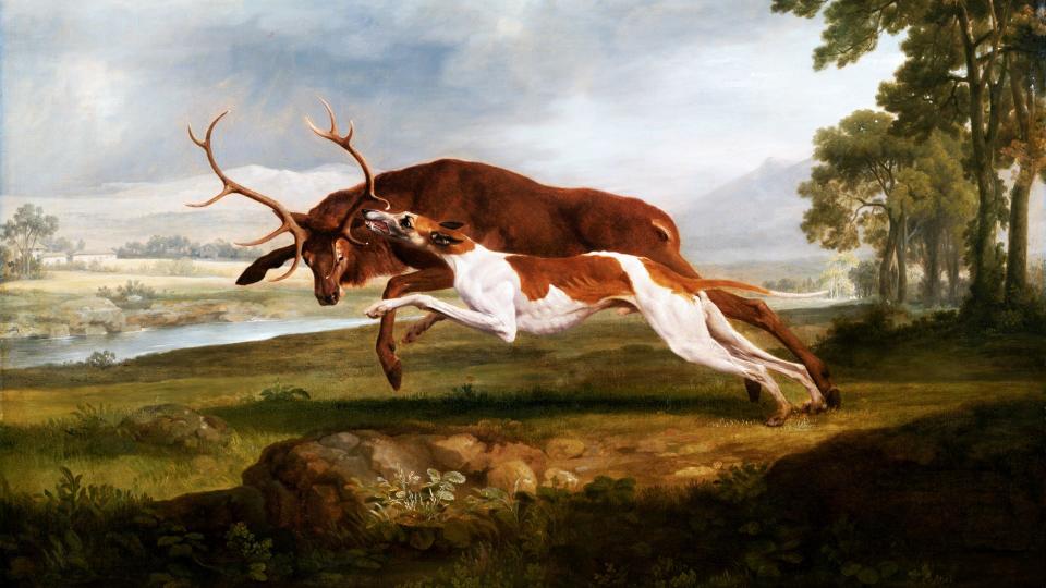 Stag and Hound by William Pierce Stubbs