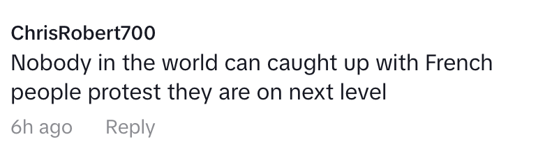 A comment by ChrisRobert700 stating, "Nobody in the world can caught up with French people protest they are on next level." Posted 6 hours ago