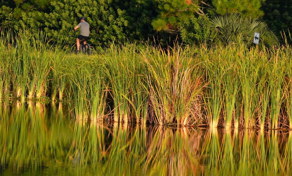 A 2021 photo shows an early morning at the Ritch Grissom Memorial Wetlands in Viera, near the western end of Wickham Road.