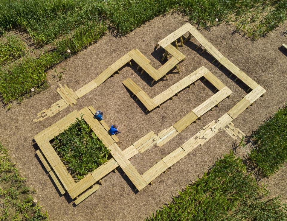 At the center of the corn maze, picnic tables are arranged for both climbing and dining.