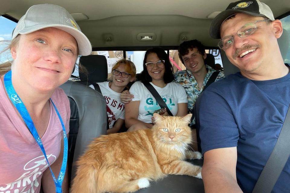 Cat Finds Its Way Into Family Car Ahead of Lengthy Road Trip . https://www.facebook.com/andrea.scholten.7/photos. Credit: Andrea Scholten