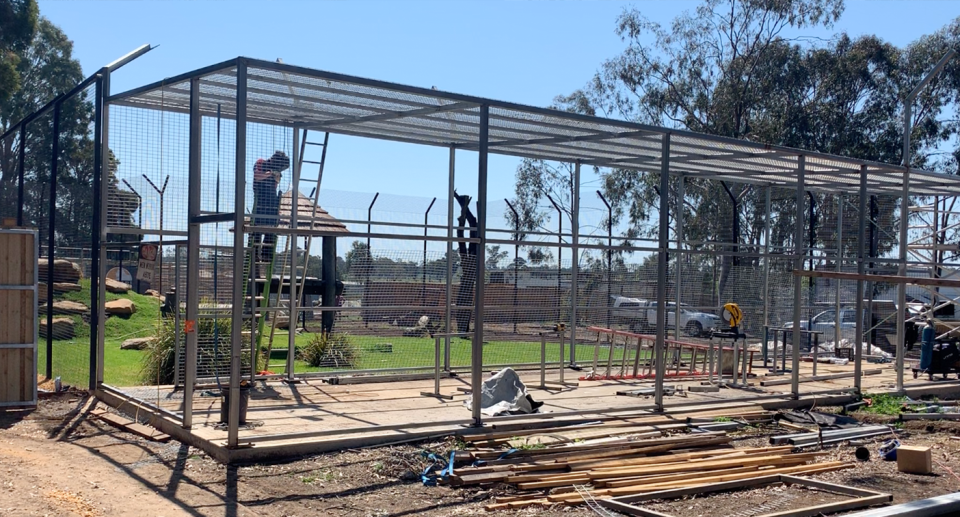 A new lion pen is being constructed to house lions retired from Lennon Brothers Circus. Source: Zambi