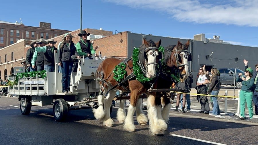 Coloradans grabbed their green and gathered in the Five Points neighborhood of Denver for the 62nd annual St. Patrick's Day parade on March 16, 2024.