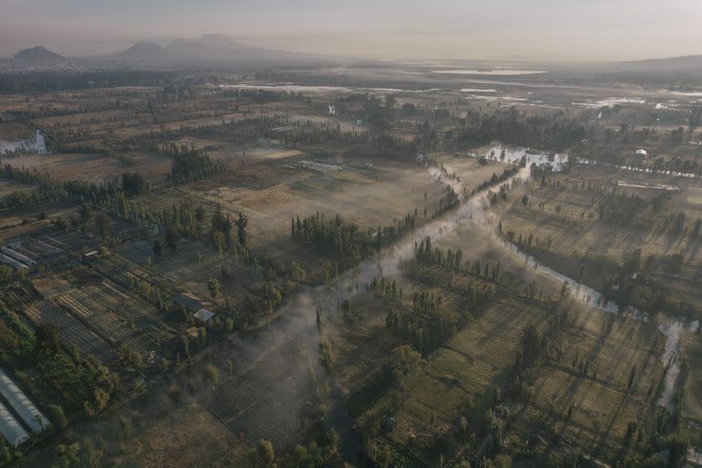 Las chinampas de Xochimilco al amanecer. Este antiguo sistema de cultivo en humedales, cuyos orígenes se remontan al siglo X, ofreció antaño un generoso refugio al ajolote mexicano, Ambystoma Mexicanum