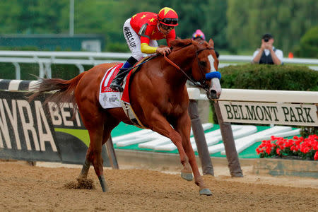 FILE PHOTO: Justify with jockey Mike Smith aboard wins the 150th running of the Belmont Stakes, the third leg of the Triple Crown of Thoroughbred Racing at Belmont Park in Elmont, New York, U.S., June 9, 2018. REUTERS/Mike Segar