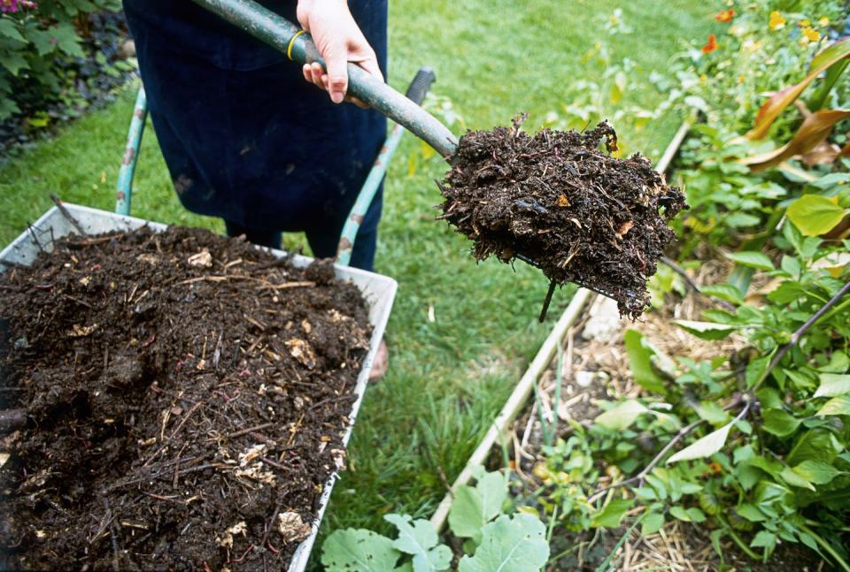 Soil, Compost, Groundcover, Natural material, Gardening, Plantation, Agriculture, Annual plant, Herbaceous plant, Herb, 