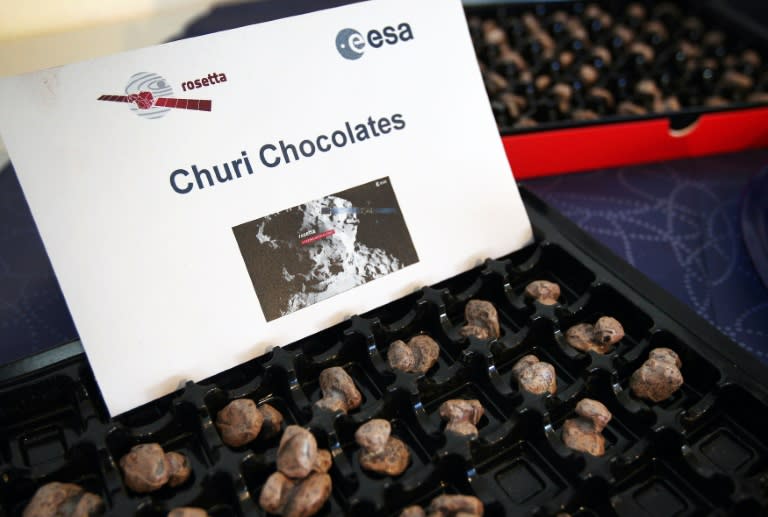 Chocolates in the shape of comet 67P "Churi" are pictured at the European Space Operation Center (ESOC) in Darmstadt, Germany, during the controlled descent of the space probe Rosetta onto the surface of Comet 67P/Churyumov-Gerasimenko