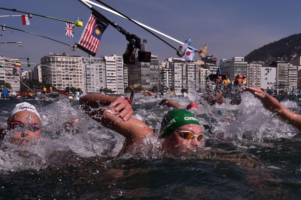 Open water swimmers aren't allowed to wear wet suits.