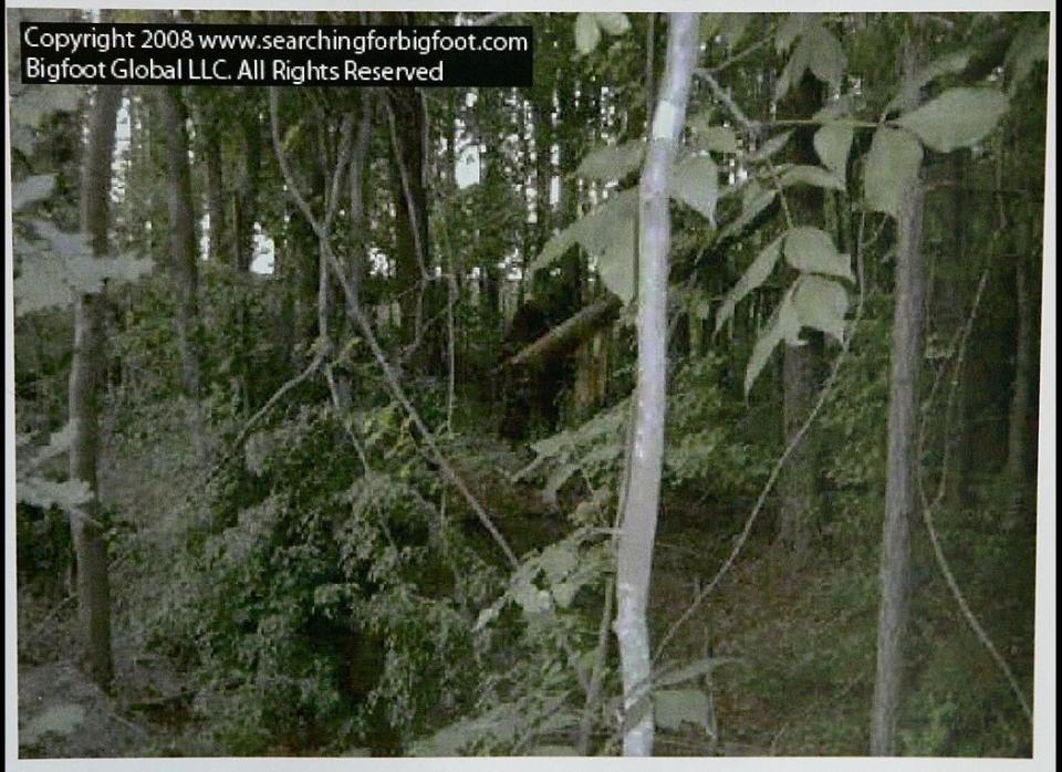 This still frame image from video provided by Bigfoot Global LLC shows what Whitton and Dyer claimed was a Bigfoot or Sasquatch creature in an undisclosed area of a northern Georgia forest in June 2008. 