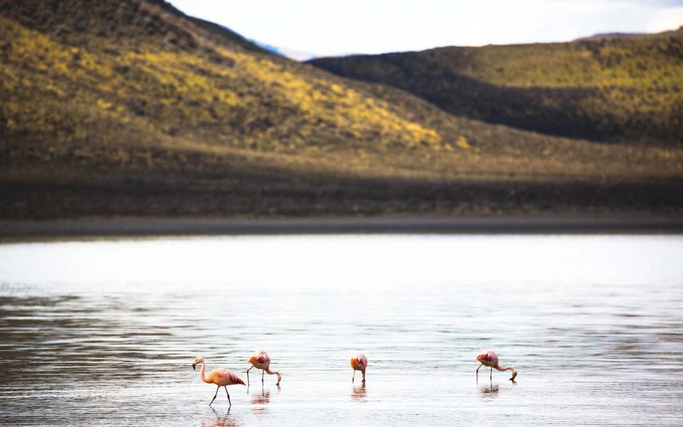 Photographer Michaela Trimble Patagonia Nature Hike Chile