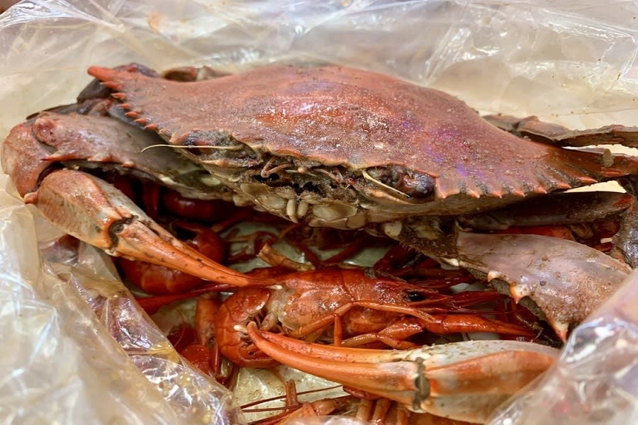 <b>Photo: sathy t./<a href="https://www.yelp.com/biz_photos/cajun-seafood-new-orleans-2?utm_campaign=825efc24-9106-44b0-8468-1e5c9ad27d46%2Ceb7dbec5-21cc-4684-b1ba-2a15c20ed0f0&utm_medium=81024472-a80c-4266-a0e5-a3bf8775daa7" rel="nofollow noopener" target="_blank" data-ylk="slk:Yelp;elm:context_link;itc:0;sec:content-canvas" class="link ">Yelp</a></b><br>