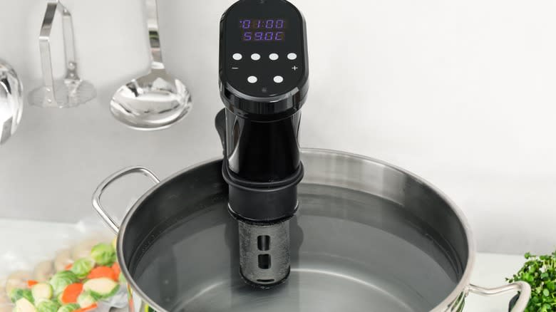 sous vide circulator