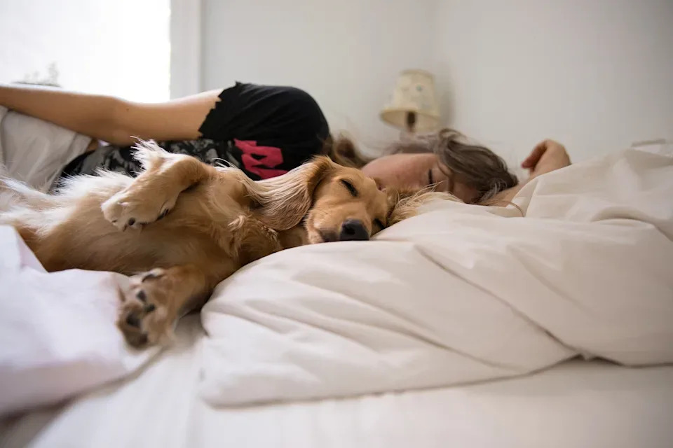 Deine Matratze ist wirklich sehr wichtig für guten Schlaf. (Bild: Getty Images)