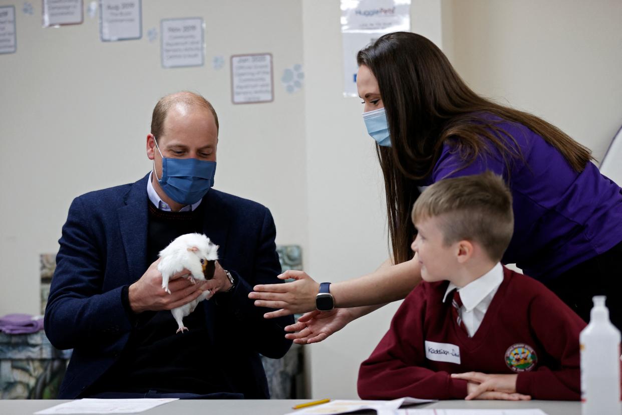 Britain's Prince William, Duke of Cambridge, handles Gus the Guinea Pig as he joins a group of local school children from Loxdale Primary School during a visit to HugglePets in the Community to mark mental health awareness week in Wolverhampton on May 13, 2021. - HugglePets in the Community works with over 25 different schools in the Black Country, offering Animal Assisted Intervention programmes supporting children with their mental wellbeing on topics including anxiety, low mood, confidence and resilience building and suicide awareness. (Photo by Adrian DENNIS / POOL / AFP) (Photo by ADRIAN DENNIS/POOL/AFP via Getty Images)