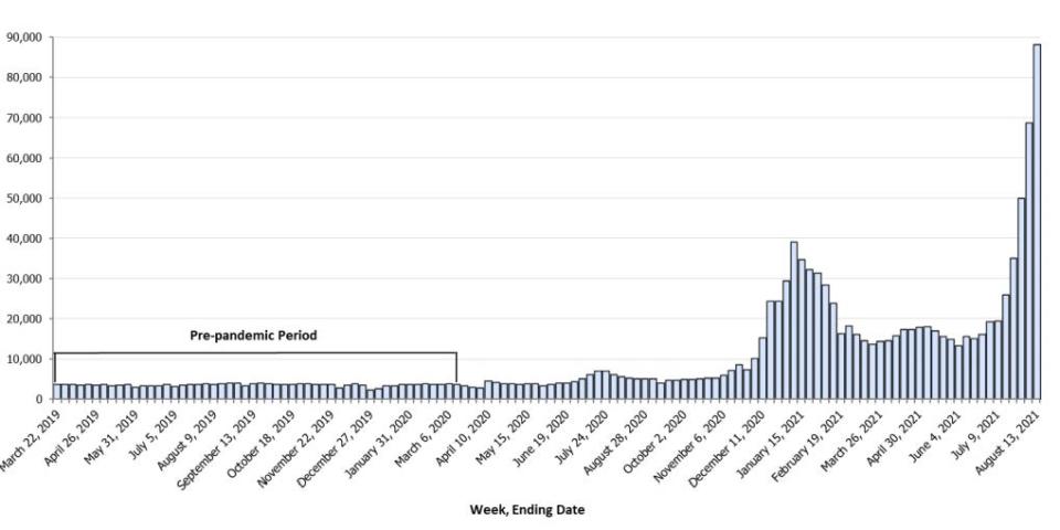 This graph from the CDC shows the increase in ivermectin prescriptions as of August 13, 2021.