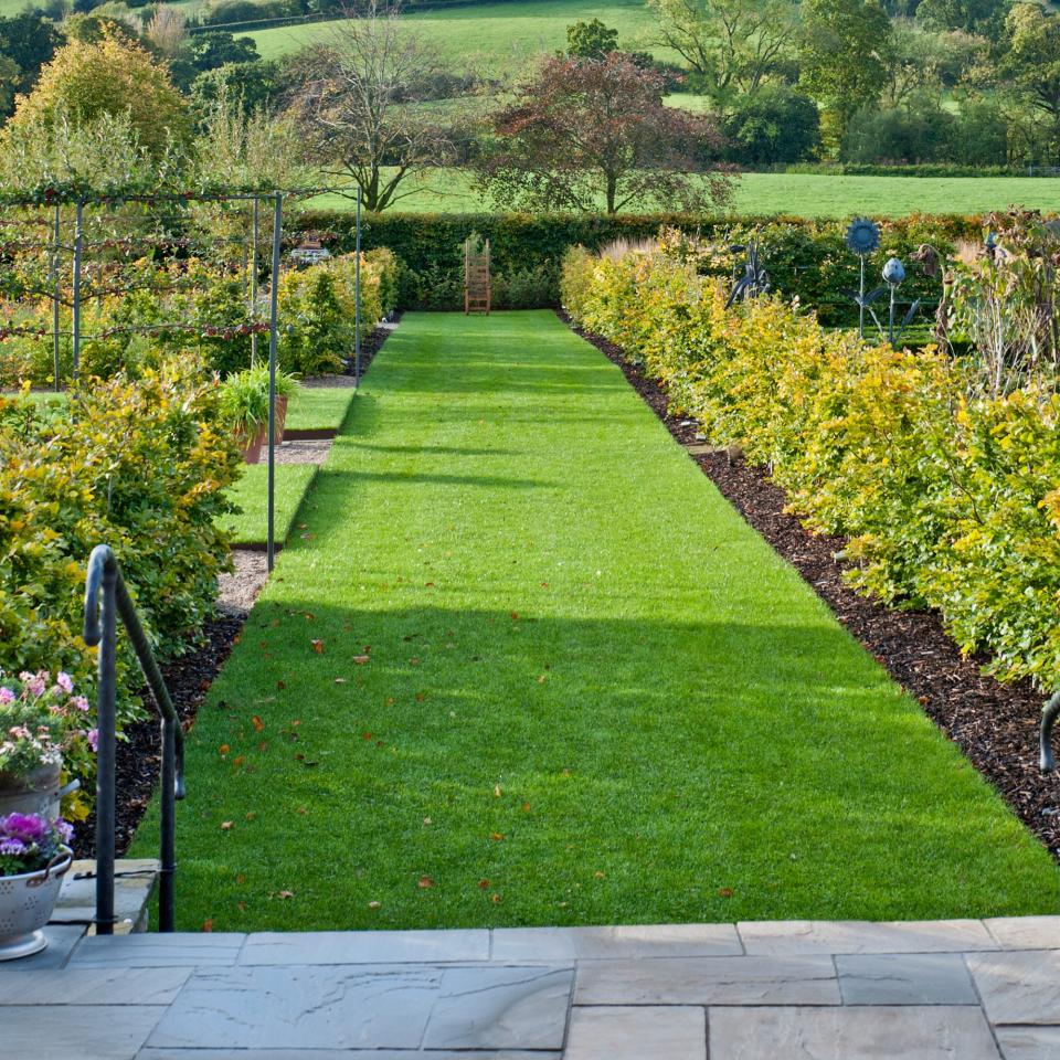 A garden with a green lawn and plant borders on either side