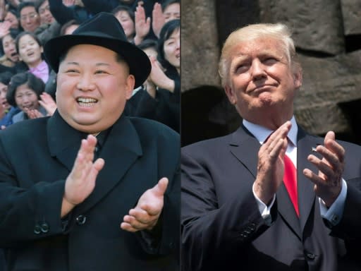 When Donald Trump and Kim Jong Un sit down for talks in Singapore, the issue of denuclearisation is expected to top the agenda -- although there is little agreement on what the word actually means